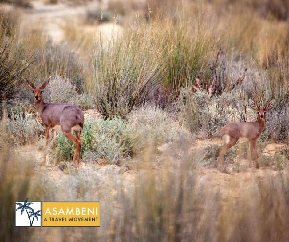 Kuganha Luxury Tents (Breede River) - Accommodation images