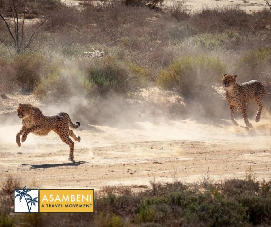 Kuganha Luxury Tents (Breede River) - Accommodation images