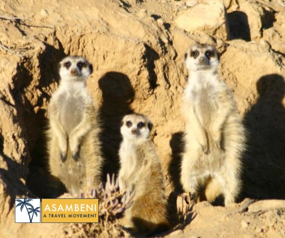 Inverdoorn Game Reserve Lodge (Breede River) - Accommodation images