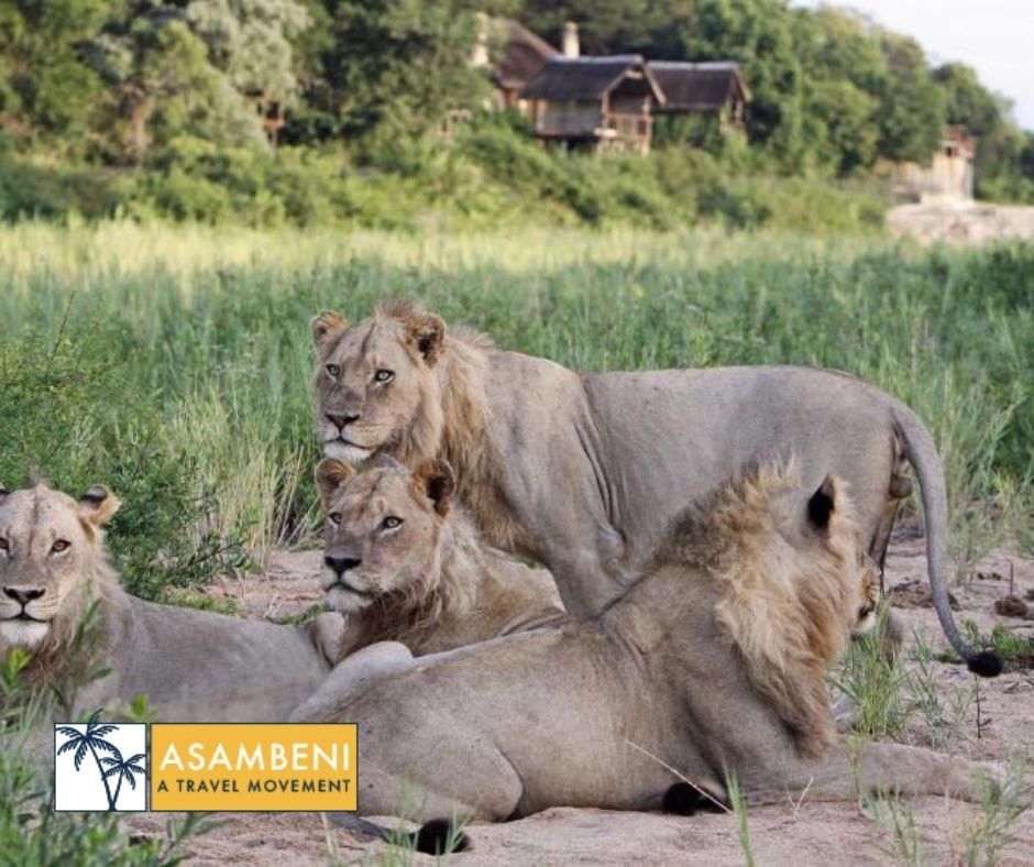 Jock Safari Lodge (Skukuza) - Accommodation images