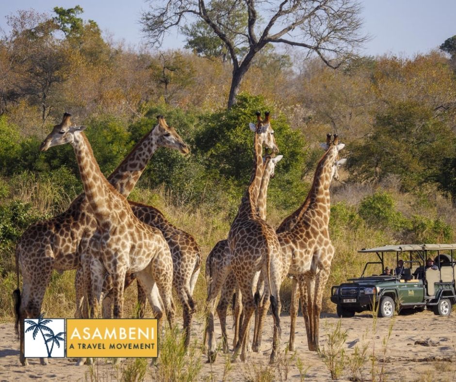 Jock Safari Lodge (Skukuza) - Accommodation images