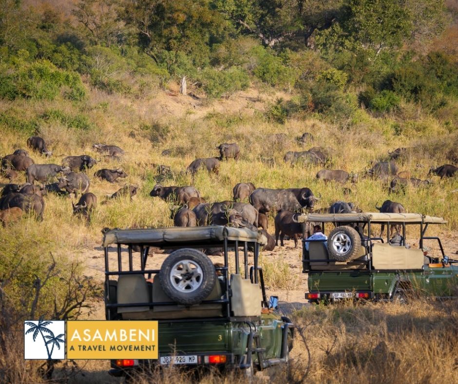Jock Safari Lodge (Skukuza) - Accommodation images