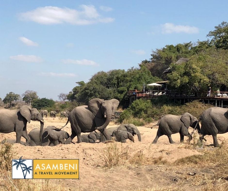 Jock Safari Lodge (Skukuza) - Accommodation images