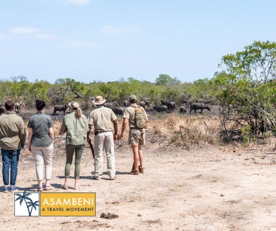 Jock Safari Lodge (Skukuza) - Accommodation images