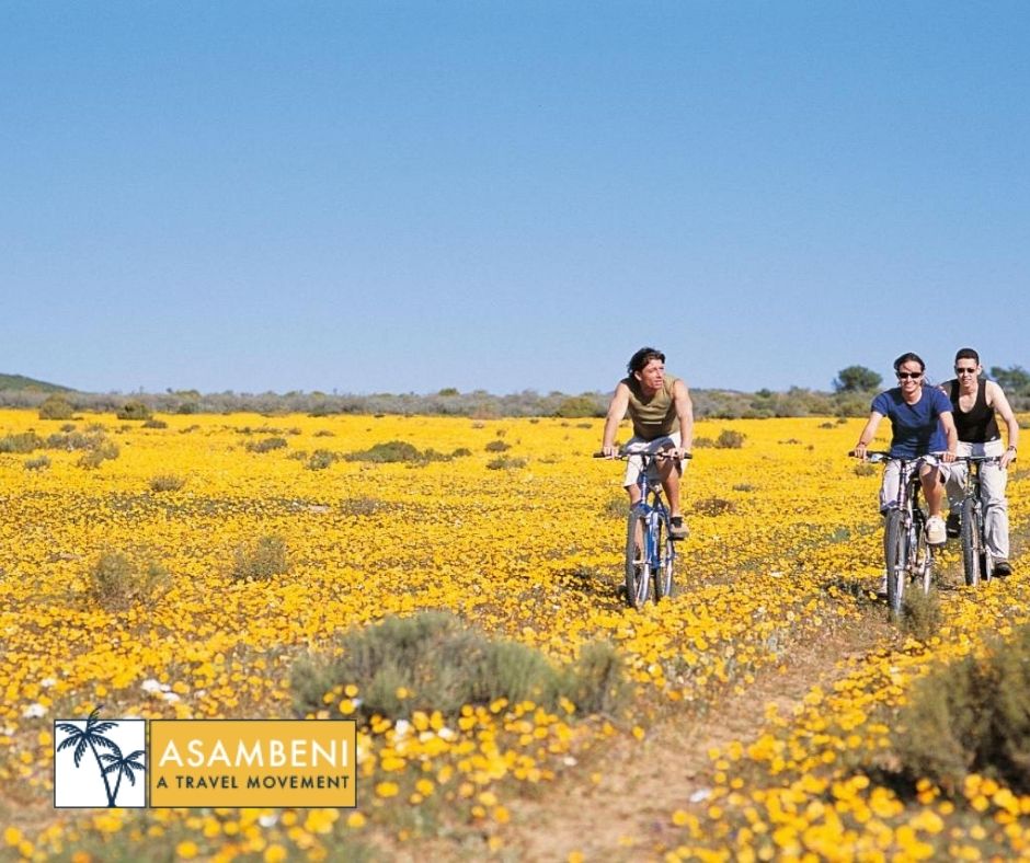 Bushmans Kloof Wilderness Reserve and Wellness Retreat (Clanwilliam) - Accommodation images