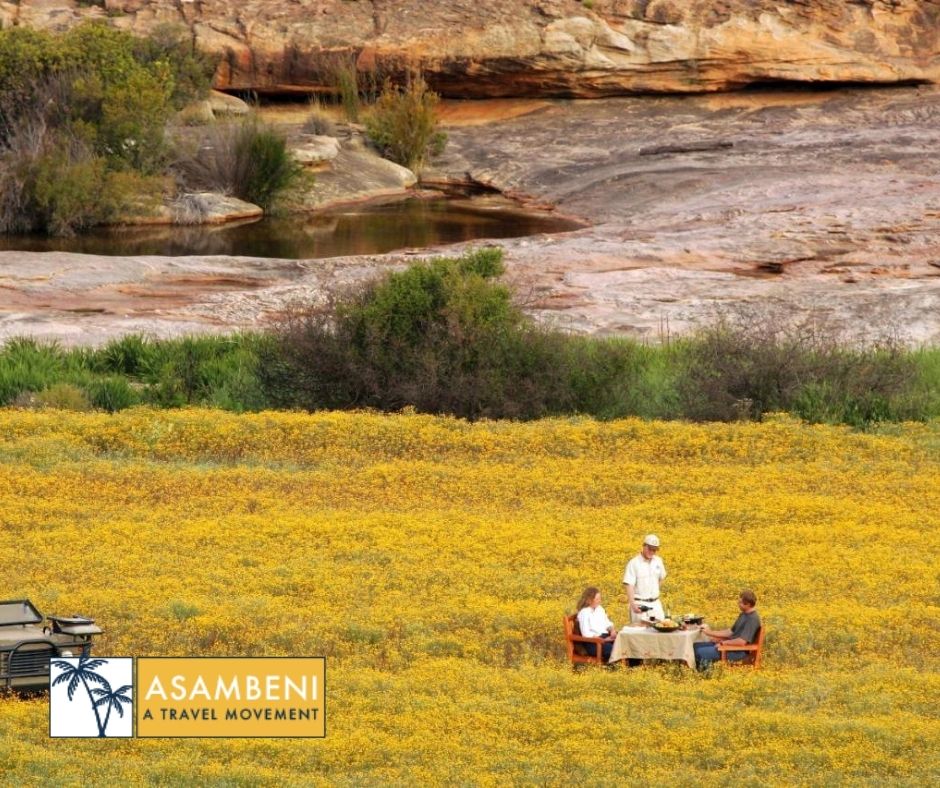 Bushmans Kloof Wilderness Reserve and Wellness Retreat (Clanwilliam) - Accommodation images