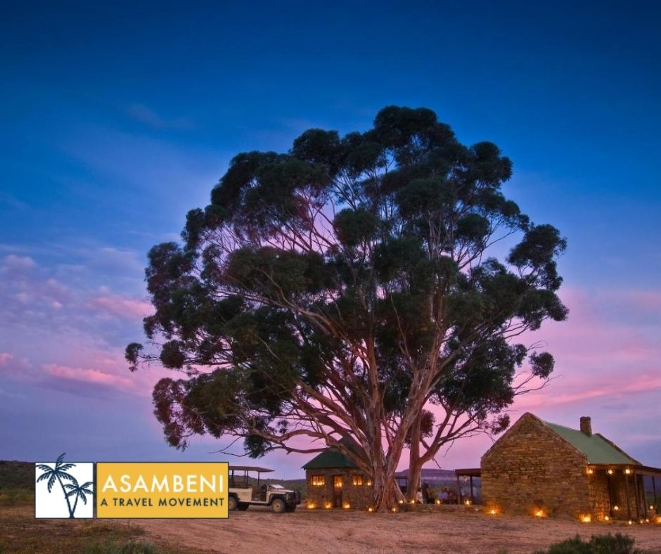 Bushmans Kloof Wilderness Reserve and Wellness Retreat (Clanwilliam) - Accommodation images