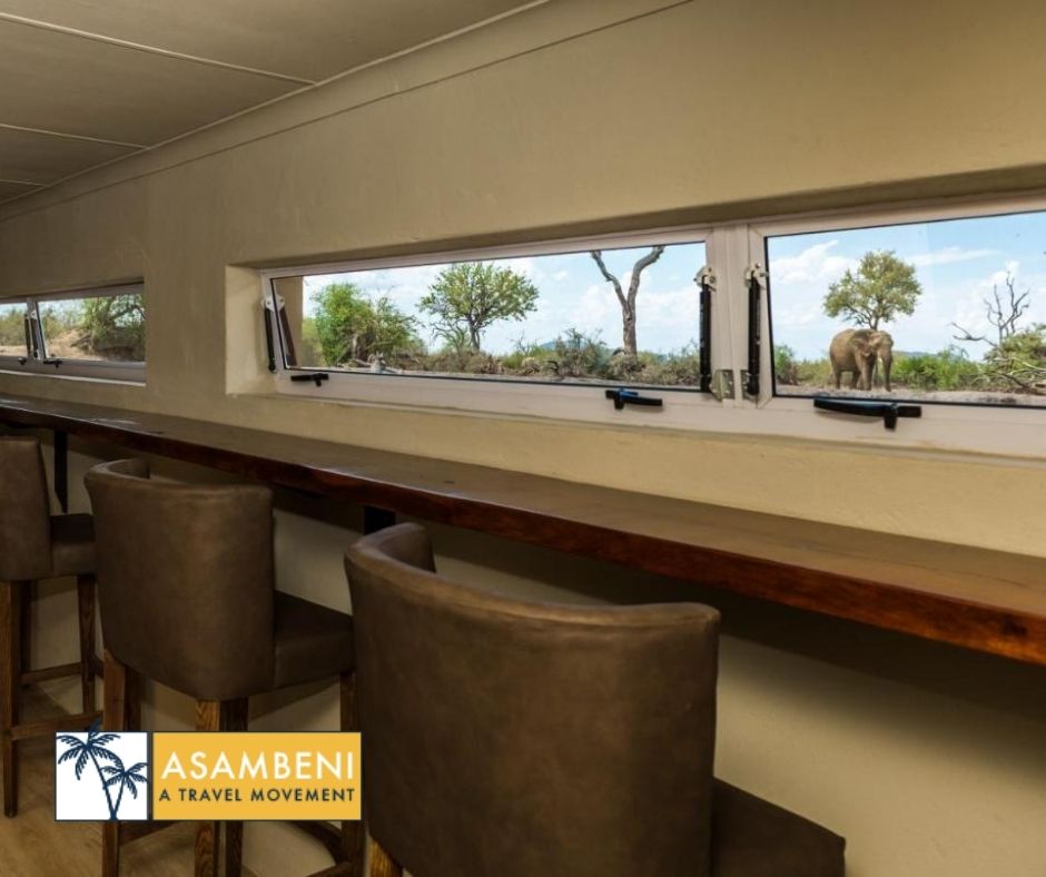 Impodimo Game Lodge (Madikwe Game Reserve) - Accommodation images