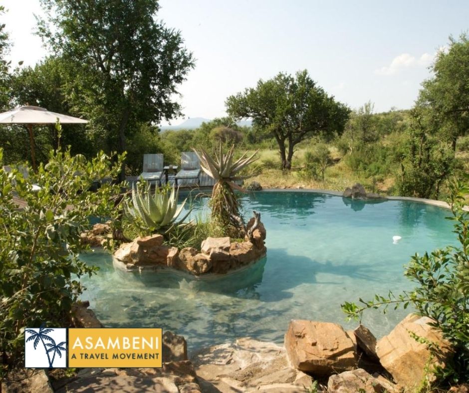 Impodimo Game Lodge (Madikwe Game Reserve) - Accommodation images
