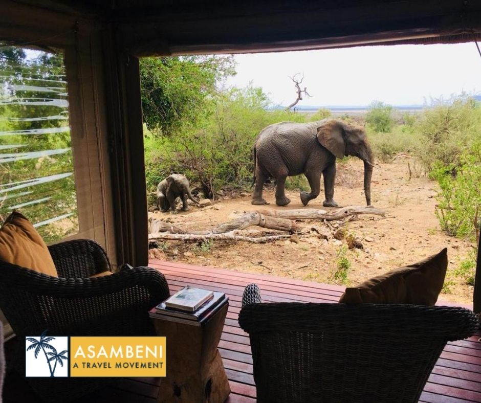 Impodimo Game Lodge (Madikwe Game Reserve) - Accommodation images