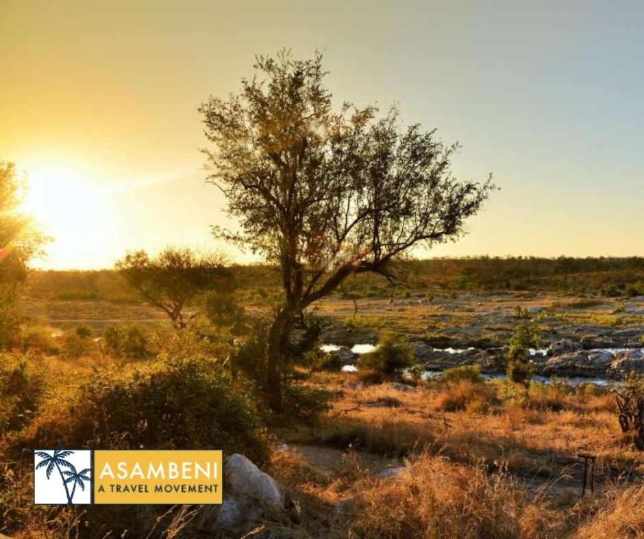 Mjejane River Lodge (Hectorspruit) - Accommodation images