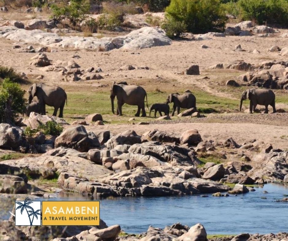 Mjejane River Lodge (Hectorspruit) - Accommodation images