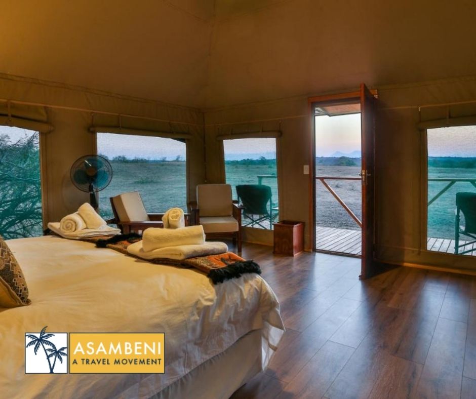Tangala Safari Camp (Thornybush Game Reserve) - Accommodation images