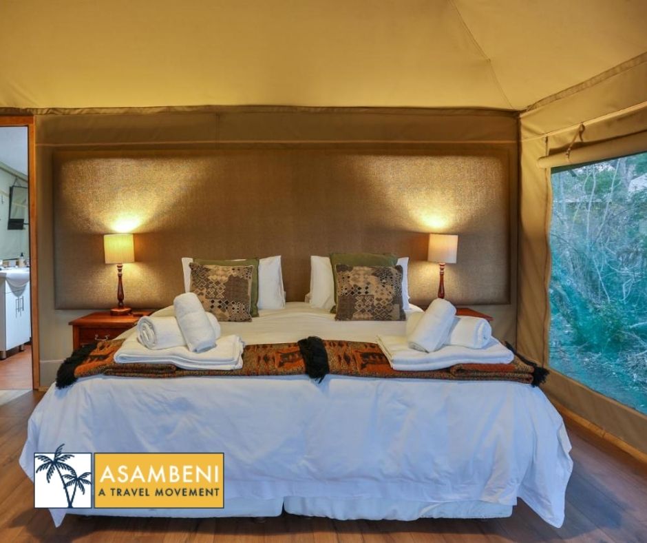 Tangala Safari Camp (Thornybush Game Reserve) - Accommodation images