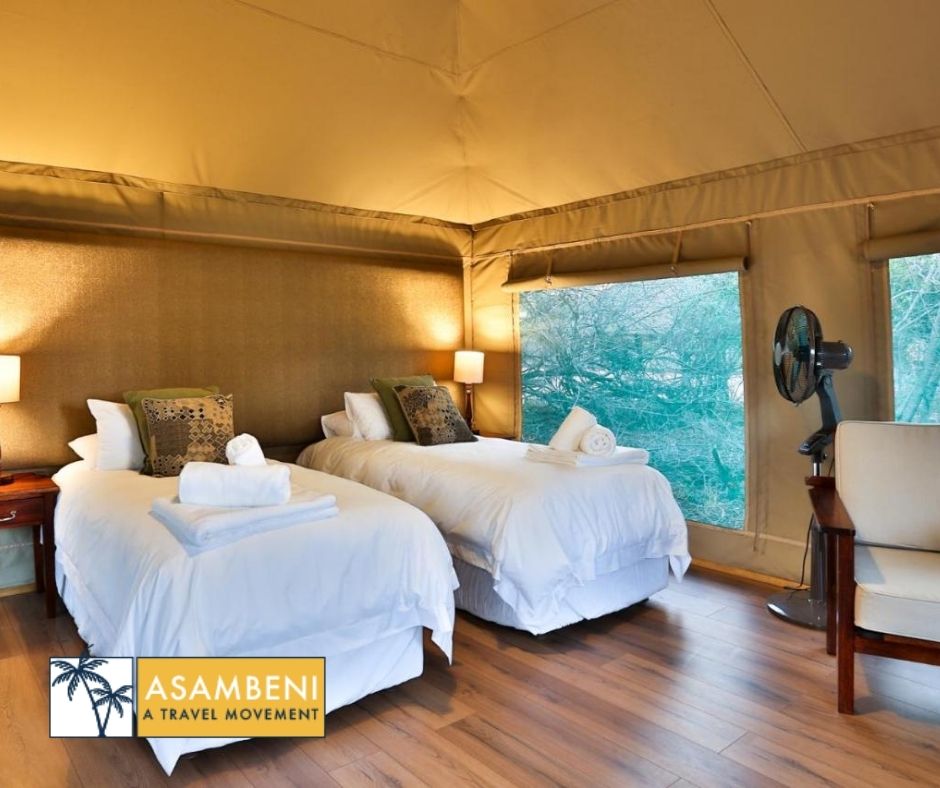 Tangala Safari Camp (Thornybush Game Reserve) - Accommodation images