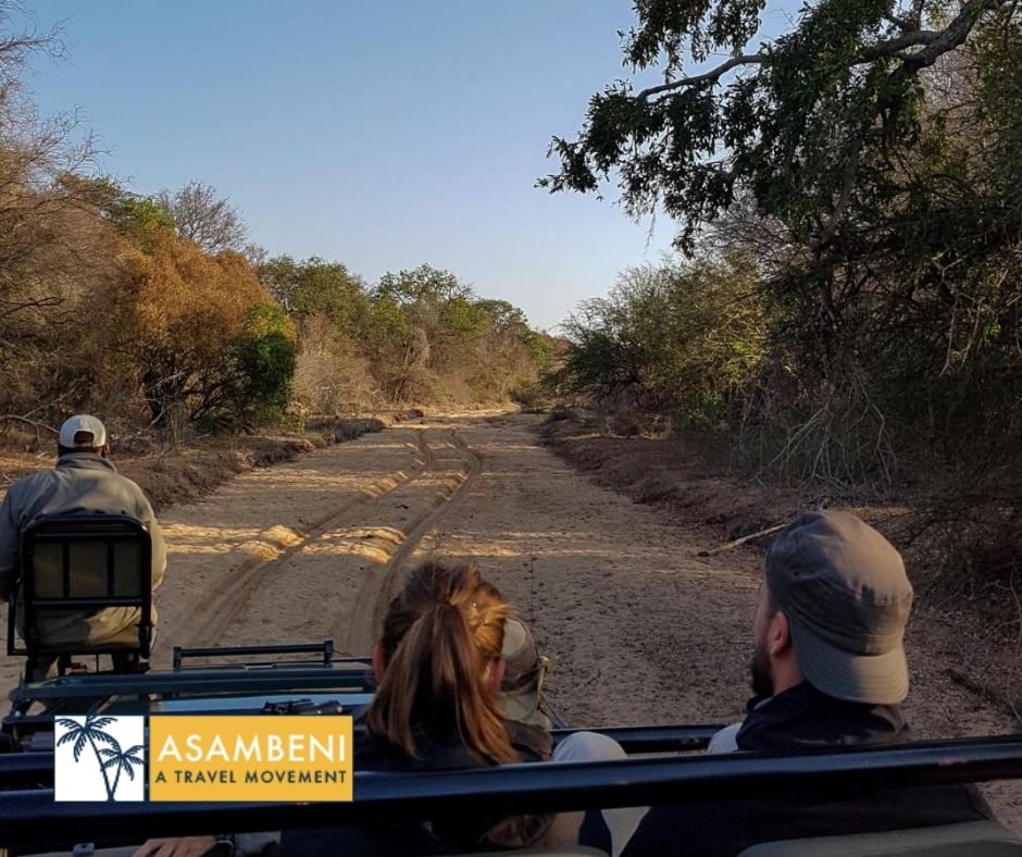 Tangala Safari Camp (Thornybush Game Reserve) - Accommodation images