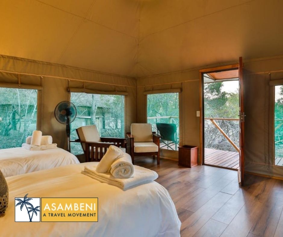 Tangala Safari Camp (Thornybush Game Reserve) - Accommodation images