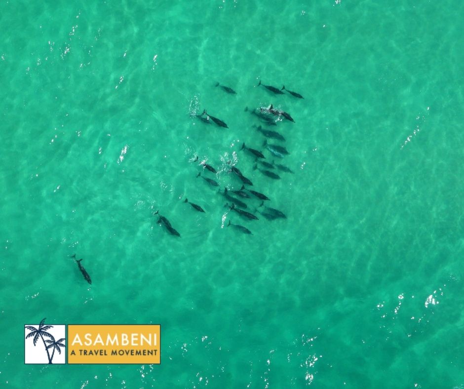 Lekkerwater Beach Lodge (De Hoop Nature Reserve) - Accommodation images