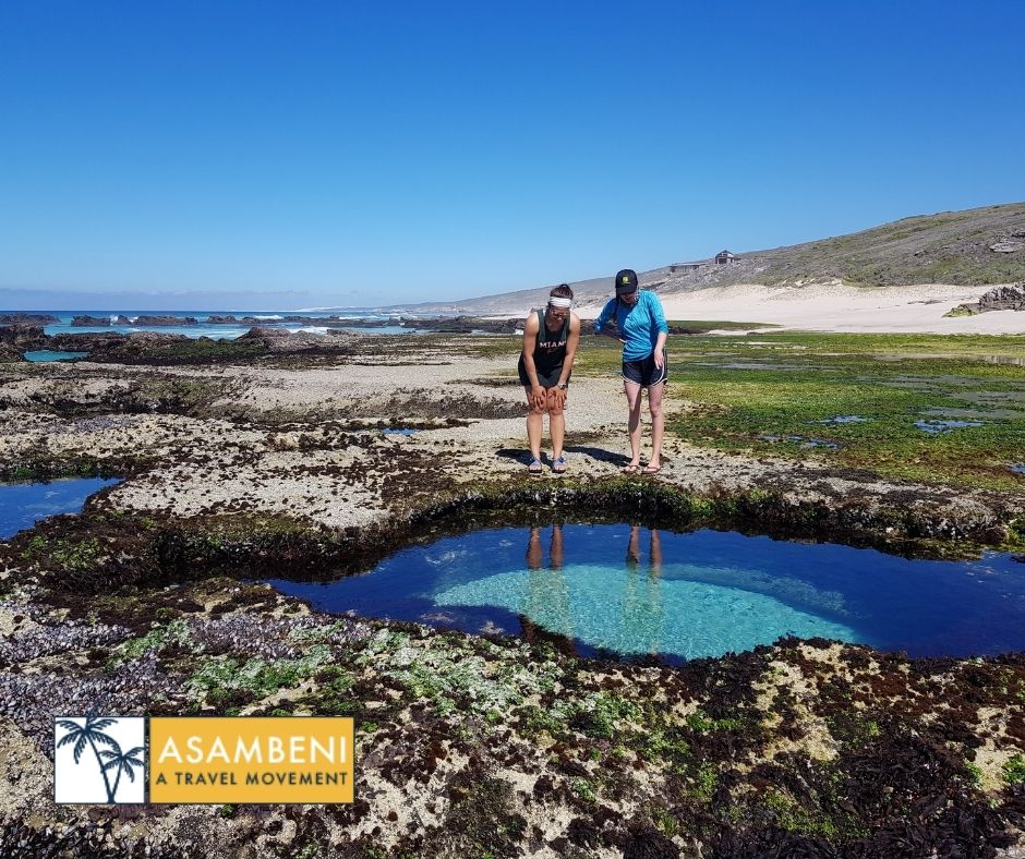 Lekkerwater Beach Lodge (De Hoop Nature Reserve) - Accommodation images