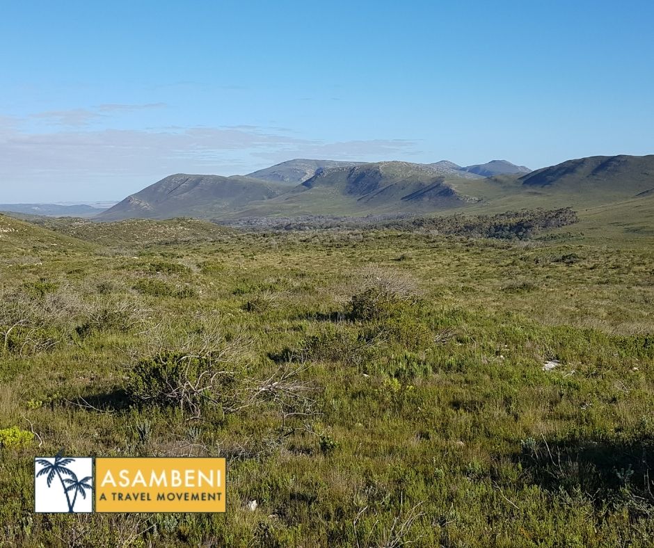 Lekkerwater Beach Lodge (De Hoop Nature Reserve) - Accommodation images