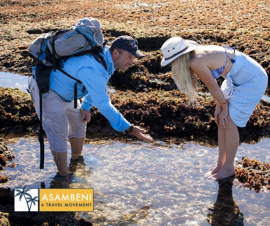 Lekkerwater Beach Lodge (De Hoop Nature Reserve) - Accommodation images