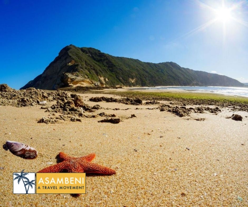 Simbavati Fynbos on Sea (Sedgefield) - Accommodation images