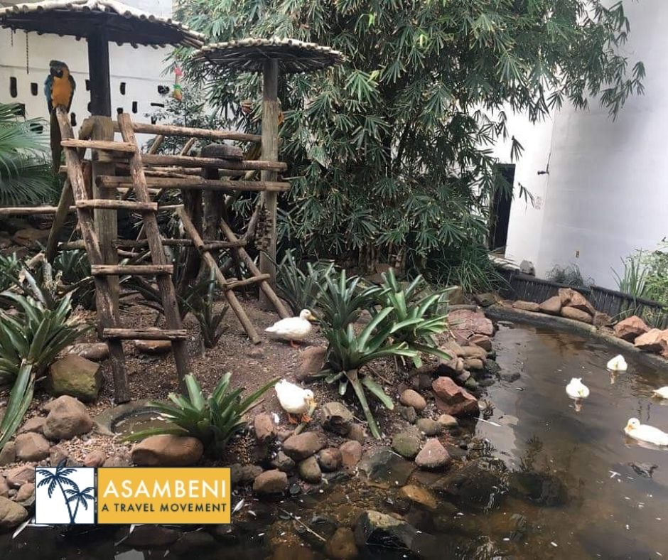 Cabana Beach Resort (Umhlanga) - Accommodation images