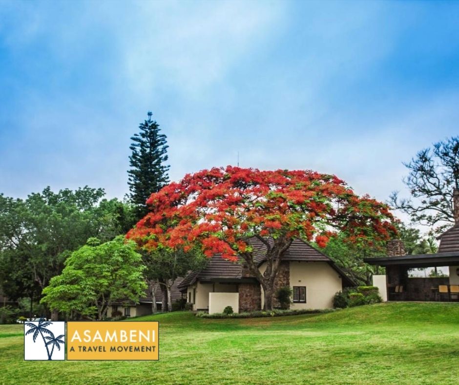 Sabi River Sun Resort (Hazyview) - Accommodation images