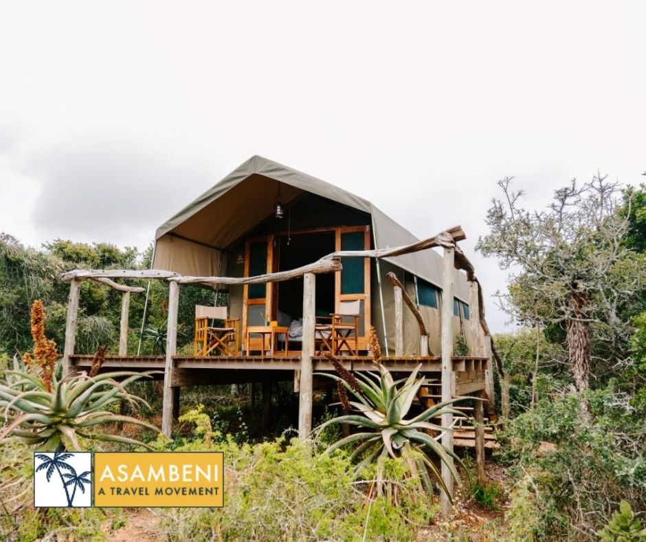 Woodbury Tented Camp – Amakhala Game Reserve - Accommodation images