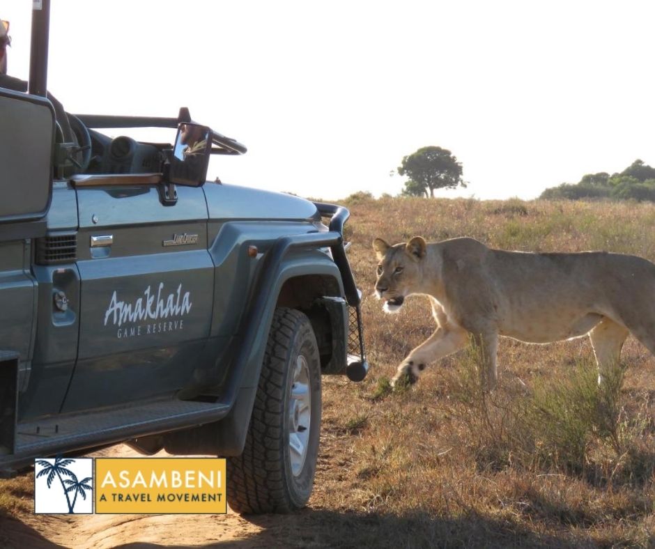 Woodbury Tented Camp – Amakhala Game Reserve - Accommodation images