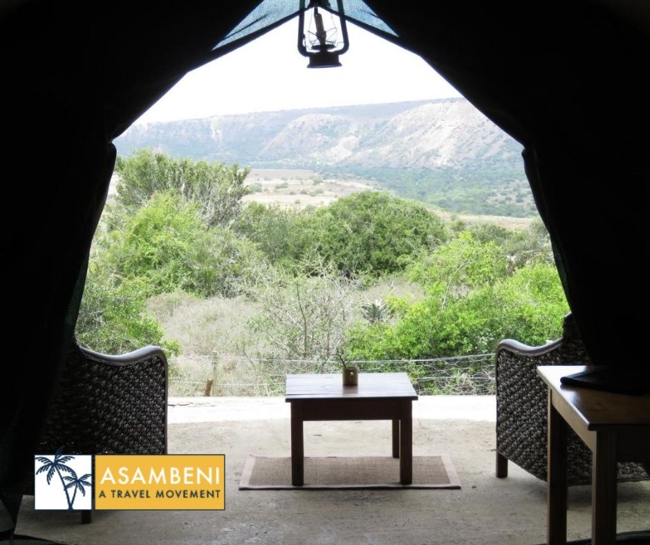 Woodbury Tented Camp – Amakhala Game Reserve - Accommodation images
