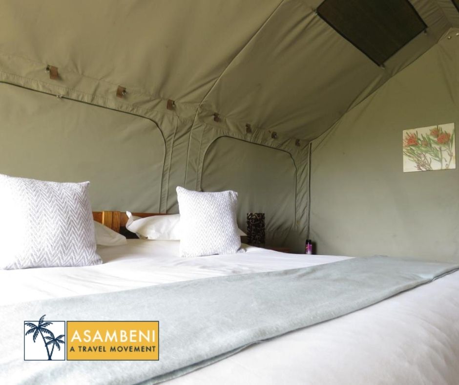 Woodbury Tented Camp – Amakhala Game Reserve - Accommodation images