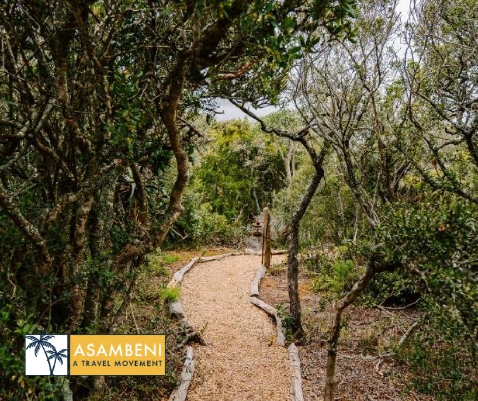 Woodbury Tented Camp – Amakhala Game Reserve - Accommodation images