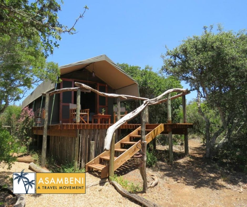 Woodbury Tented Camp – Amakhala Game Reserve - Accommodation images