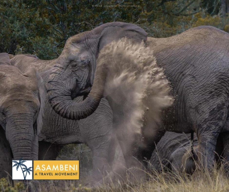 Woodbury Tented Camp – Amakhala Game Reserve - Accommodation images