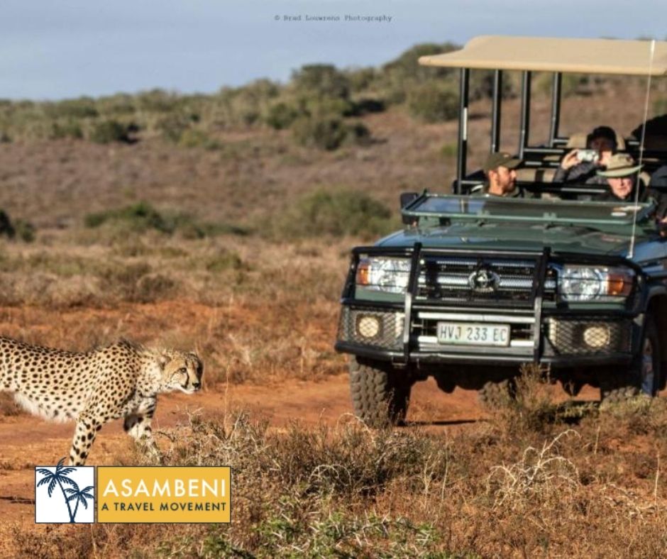 Woodbury Tented Camp – Amakhala Game Reserve - Accommodation images