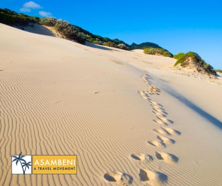 Oceana Beach and Wildlife Reserve (Port Alfred) - Accommodation images