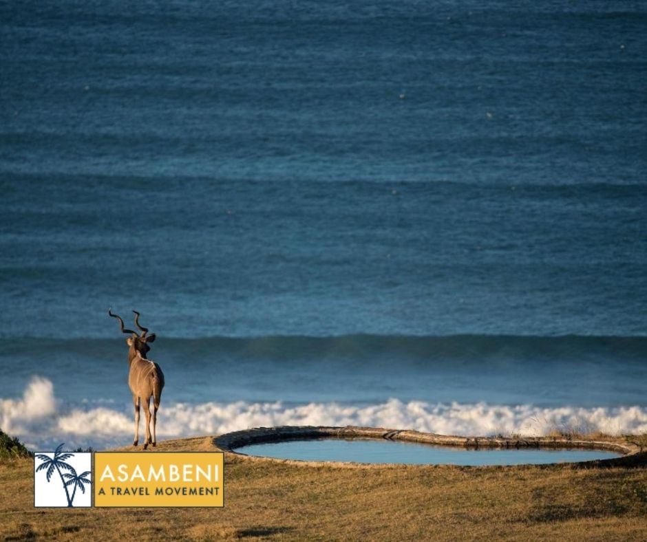 Oceana Beach and Wildlife Reserve (Port Alfred) - Accommodation images