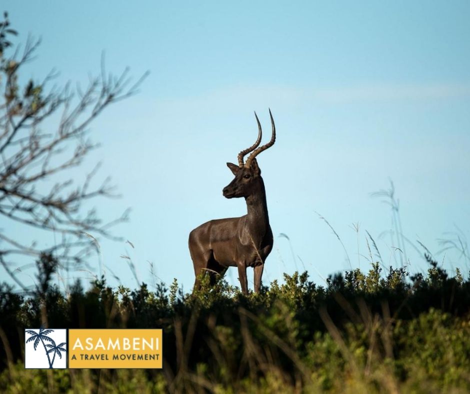 Oceana Beach and Wildlife Reserve (Port Alfred) - Accommodation images
