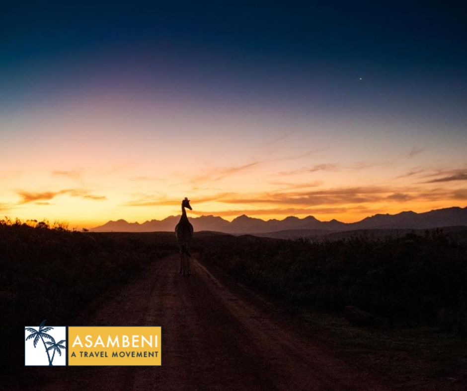 Gondwana Game Reserve (Kleinberg) - Accommodation images