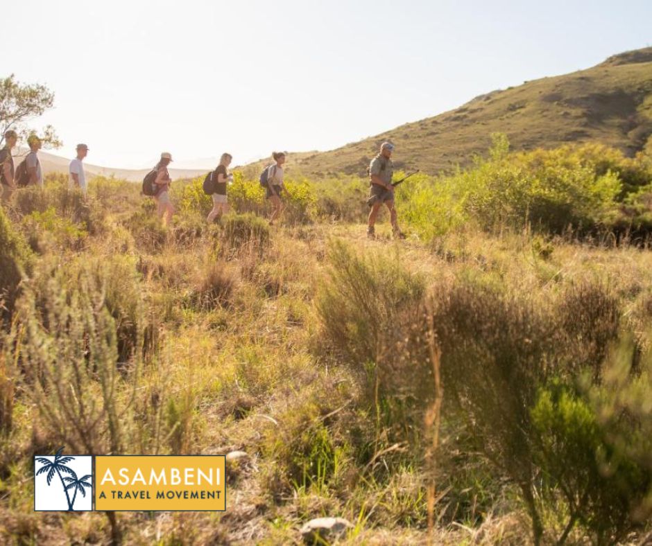 Gondwana Game Reserve (Kleinberg) - Accommodation images