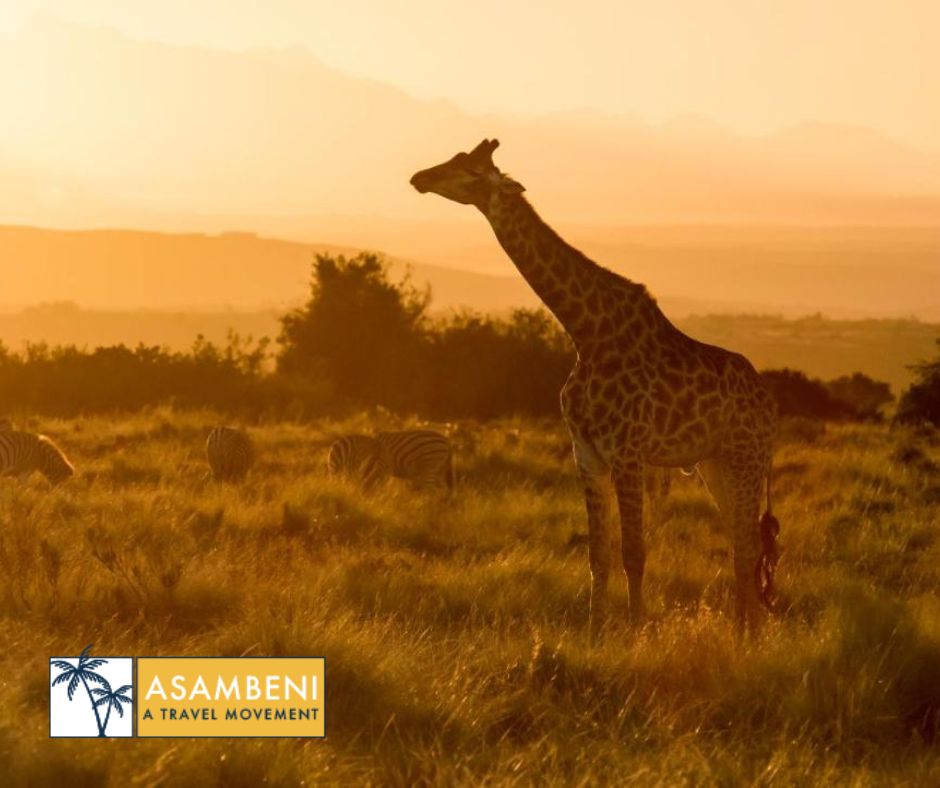 Gondwana Game Reserve (Kleinberg) - Accommodation images