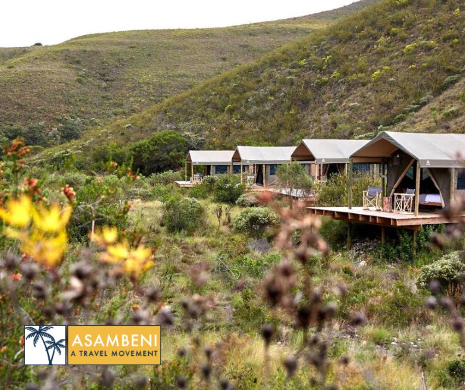 Gondwana Game Reserve (Kleinberg) - Accommodation images