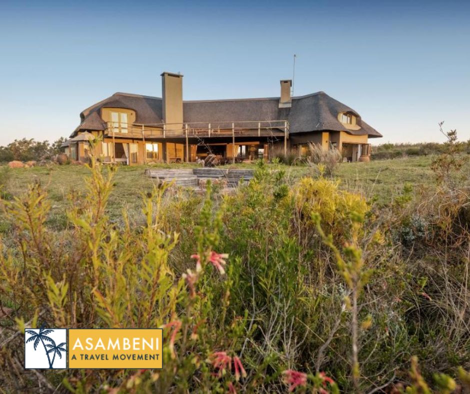Gondwana Game Reserve (Kleinberg) - Accommodation images