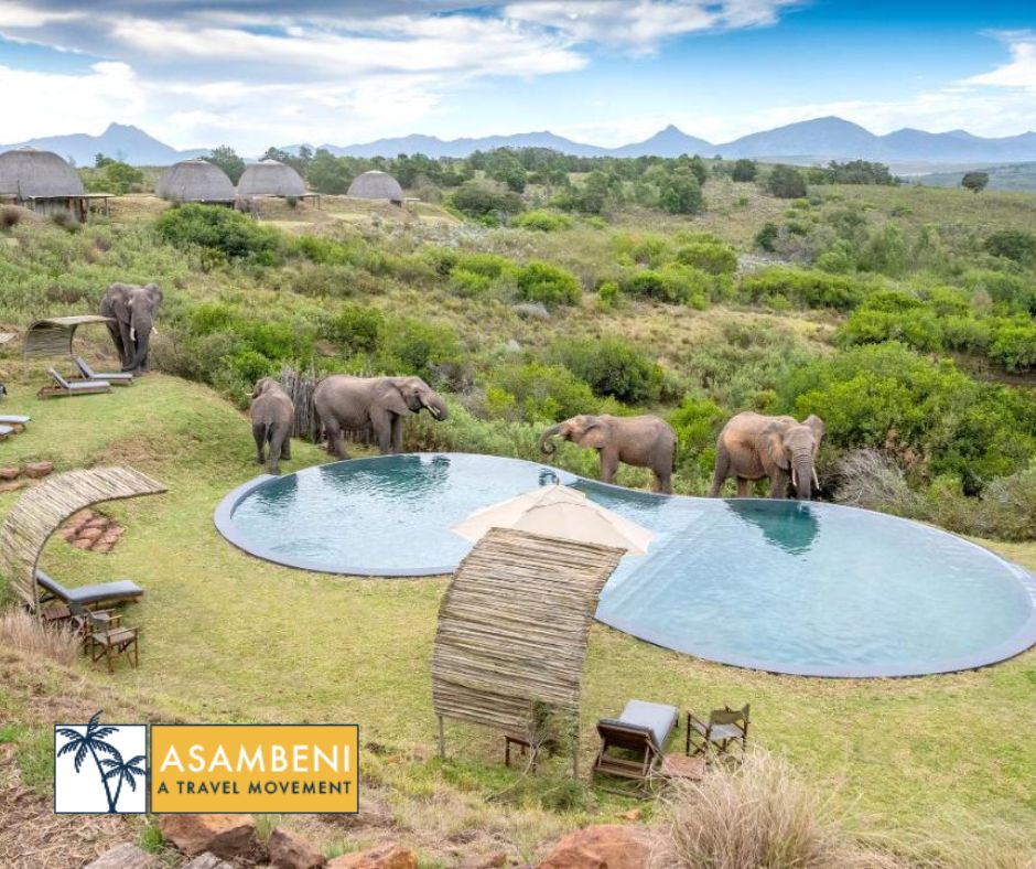 Gondwana Game Reserve (Kleinberg) - Accommodation images