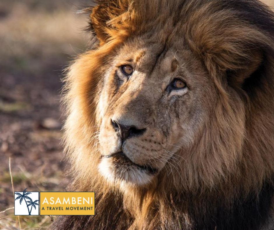 Gondwana Game Reserve (Kleinberg) - Accommodation images