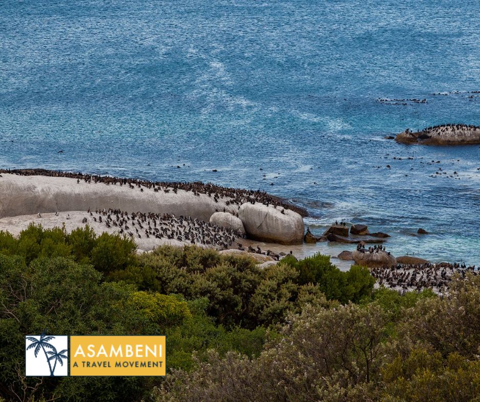 Tintswalo Boulders (Simons Town) - Accommodation images