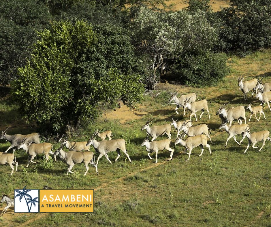 Tintswalo Lapalala (The Lapalala Wilderness Reserve) - Accommodation images