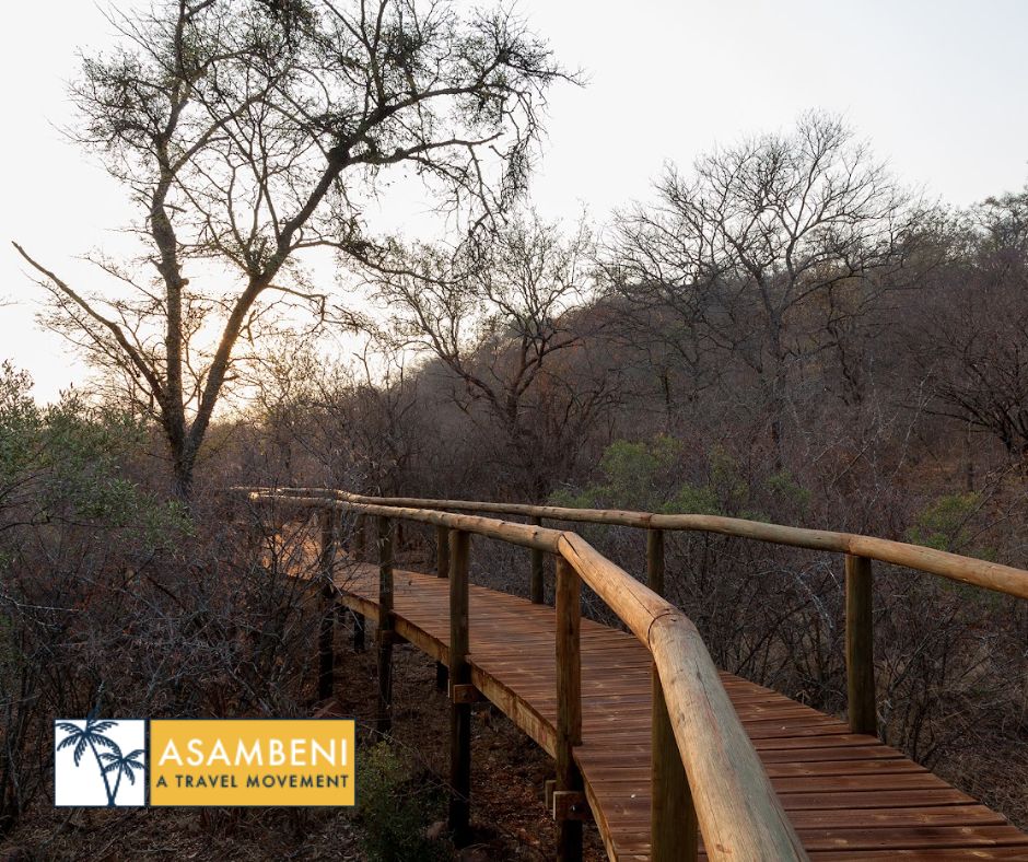 Tintswalo Lapalala (The Lapalala Wilderness Reserve) - Accommodation images