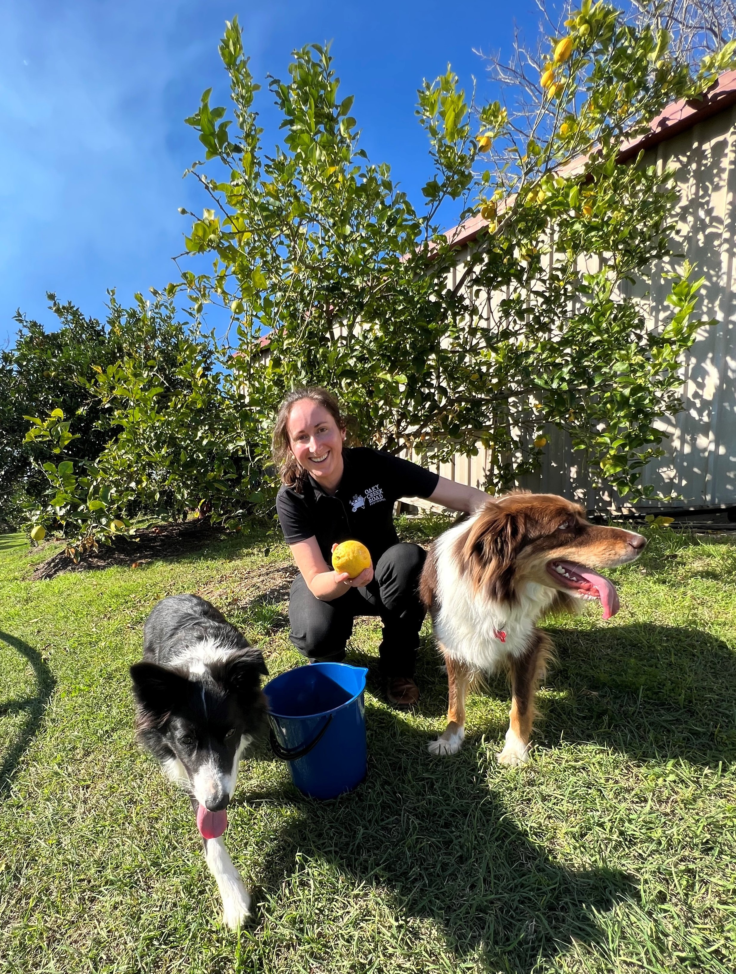 Ann-Maree with Maggie and Dougal at the farm